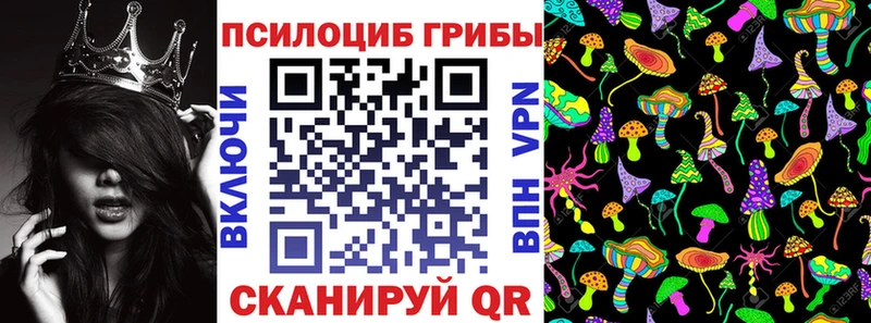 Галлюциногенные грибы MAGIC MUSHROOMS  hydra как зайти  Люберцы 