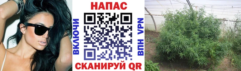 Марихуана семена  мега ONION  Люберцы  магазин продажи  